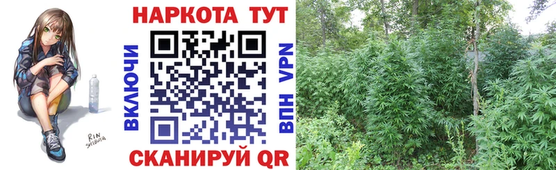 Где купить наркоту Зверево ГАШ  Alpha PVP  МЕФ  Канабис 