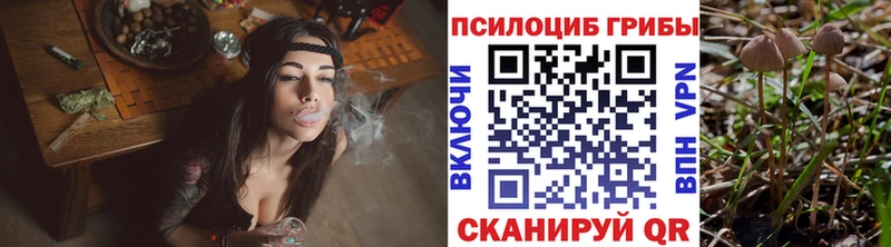 Псилоцибиновые грибы прущие грибы  где можно купить наркотик  omg онион  Зверево 